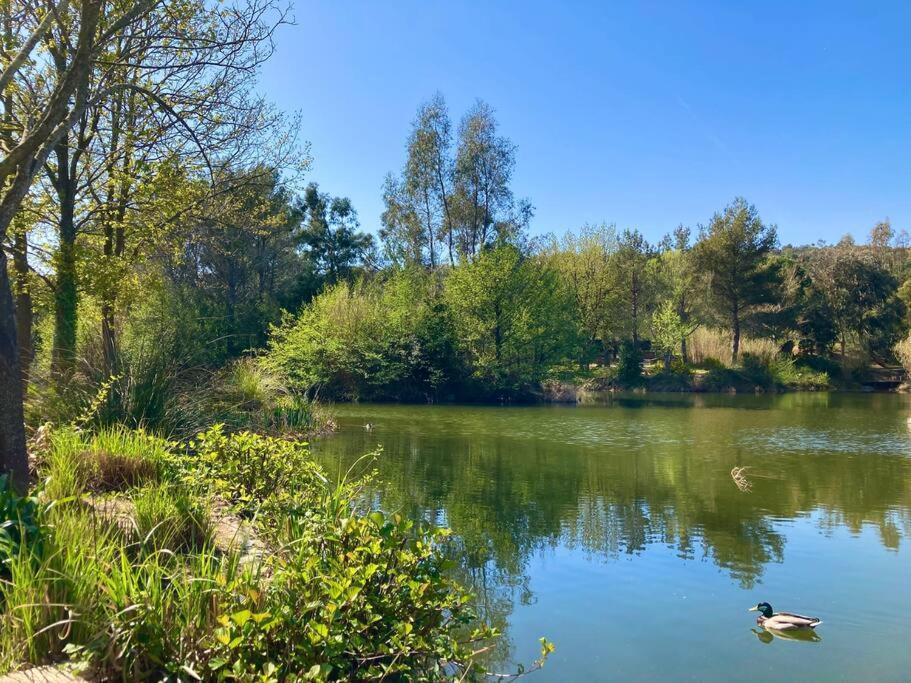 Les Restanques Bougainvillee 2051 Grimaud Exteriör bild